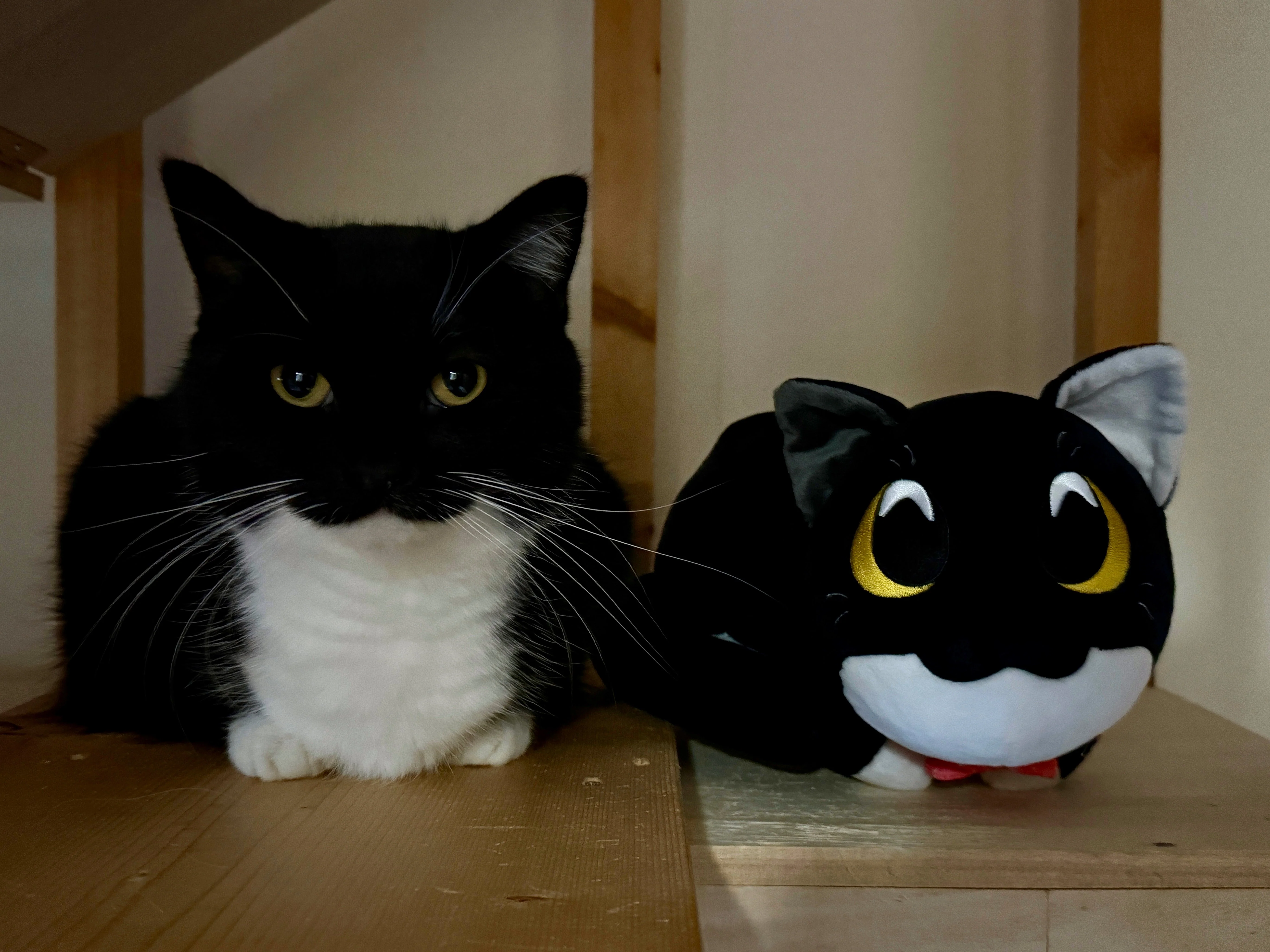 Uni V3 Plush (9in) - Image 2